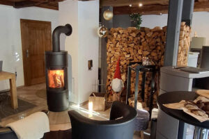 Kaminofen-ASS-Kaminbau