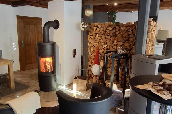 Kaminofen-ASS-Kaminbau